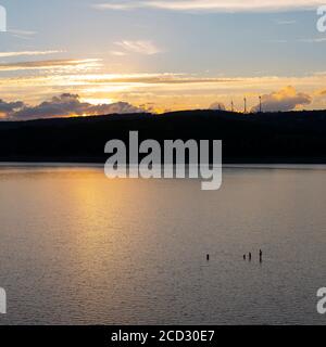 trois personnes nagent dans le lac calme de rursee au coucher du soleil parc national eifel Banque D'Images