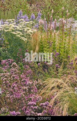 Détail du magnifique jardin de Hauser & Wirth, Somerset par Piet Oudolf Banque D'Images