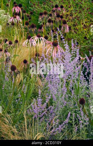 Détail du magnifique jardin de Hauser & Wirth, Somerset par Piet Oudolf Banque D'Images