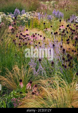 Détail du magnifique jardin de Hauser & Wirth, Somerset par Piet Oudolf Banque D'Images