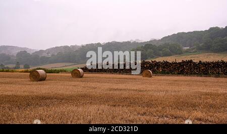 Balles de foin à proximité d'une grosse pile de grumes avec collines brumeuses en arrière-plan Banque D'Images