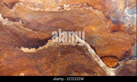 Dalle en pierre d'ardoise brune à motif abstrait Banque D'Images