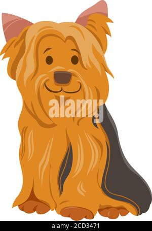 Dessin animé Illustration d'un chien de race mignon de York ou du Yorkshire Terrier Caractère animal Illustration de Vecteur