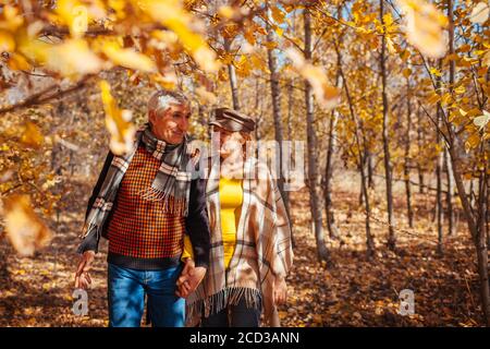 Activités de la saison d'automne. Couple senior marchant dans le parc d'automne. Homme et femme à la retraite tenant les mains à l'extérieur Banque D'Images