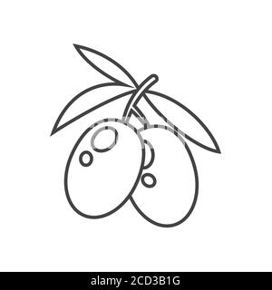 Icône olives. Symbole de vecteur de contour simple. Pictogramme linéaire isolé sur blanc. Illustration de Vecteur