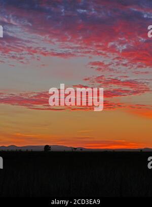 Lever du soleil sur l'Outback australien, Australie Banque D'Images