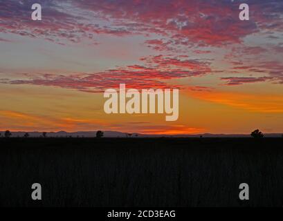 Lever du soleil sur l'Outback australien, Australie Banque D'Images