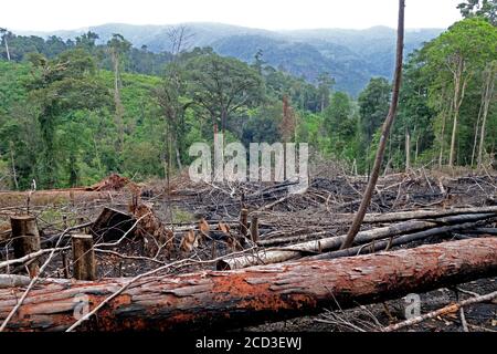 Forêts défrichées sur Gunung Kemiri, exploitation forestière illégale, Indonésie, Sumatra Banque D'Images