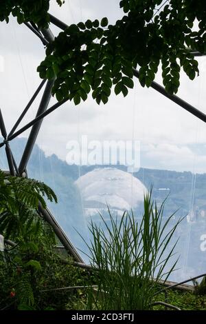 Le film d'éthylène tétrafluorothylène couvrant le biome de la forêt tropicale au complexe du projet Eden à Cornwall. Banque D'Images