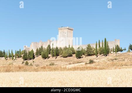 Champ de blé en été, en arrière-plan, Château de Penaranda de Duero. C'est une forteresse qui est située sur une colline dans la ville de Penaranda de Duero (BU Banque D'Images