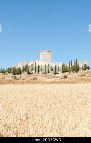 Champ de blé en été, en arrière-plan, Château de Penaranda de Duero. C'est une forteresse qui est située sur une colline dans la ville de Penaranda de Duero (BU Banque D'Images