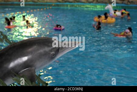 Les citoyens peuvent profiter de l'eau et de diverses activités aquatiques pour se détendre de la chaleur estivale brûrante tandis que le parc aquatique Nantong s'ouvre aux touristes, Nantong cit Banque D'Images