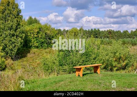 Un banc en bois d'orange se dresse sur une colline au-dessus de l'arrière-plan d'une forêt et d'un beau ciel nuageux. Banque D'Images