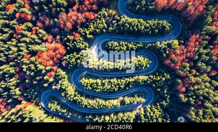 Carpathian Mountains, Roumanie. Route sinueuse en automne paysage de forêt, paysage de montagne. Banque D'Images