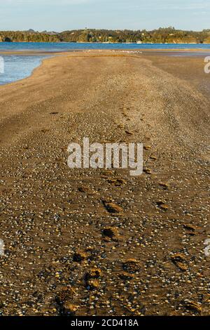 L'estuaire côtier de la plage de Paihia et de la baie des îles, Île du Nord, Nouvelle-Zélande. Banque D'Images