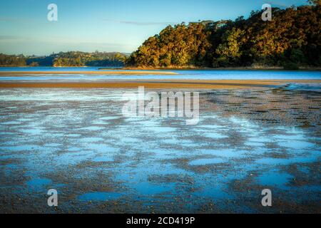 L'estuaire côtier de la plage de Paihia et de la baie des îles, Île du Nord, Nouvelle-Zélande. Banque D'Images