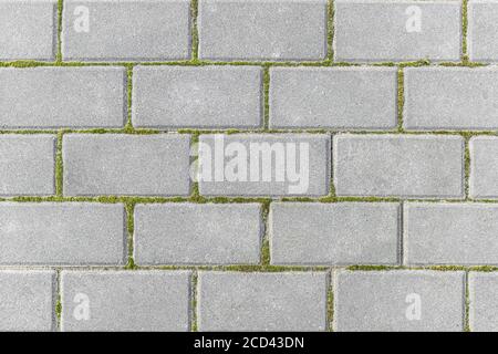 Texture des pavés surcultivés avec de la mousse - gros plan sur un fragment du pavé - mousse entre le pavé pierres Banque D'Images