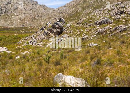 Magnifique paysage dans les montagnes de Ceres, Cap occidental, Afrique du Sud Banque D'Images