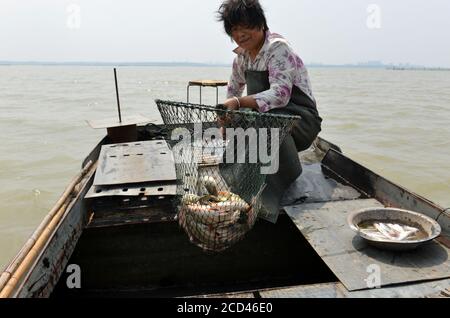 Les pêcheurs utilisent divers engins de pêche, dont des filets, pour pêcher, car la saison de pêche fermée se termine le 30 juin, dans le village de Zhangfuhe, dans la ville de Xishunhe, dans le district de Hongze Banque D'Images