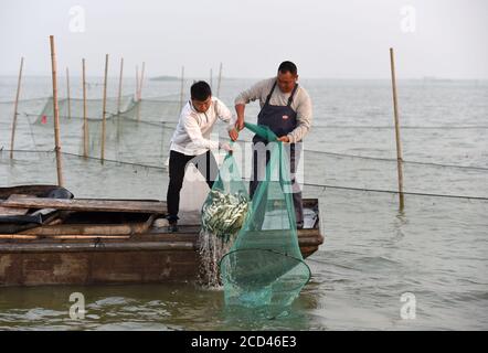 Les pêcheurs utilisent divers engins de pêche, dont des filets, pour pêcher, car la saison de pêche fermée du lac de Luoma se termine le 30 juin, dans la ville de Suqian, dans l'est de la Chine Jiang Banque D'Images