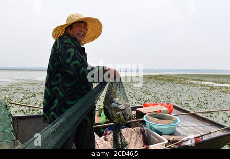 Les pêcheurs utilisent divers engins de pêche, dont des filets, pour pêcher, car la saison de pêche fermée se termine le 30 juin, dans le village de Zhangfuhe, dans la ville de Xishunhe, dans le district de Hongze Banque D'Images