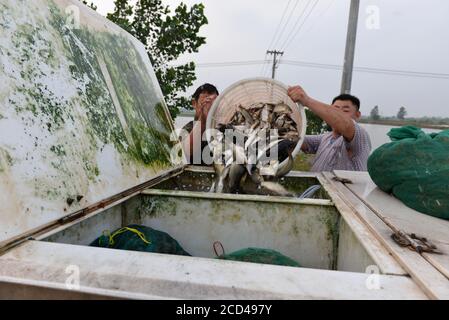 Les pêcheurs utilisent divers engins de pêche, dont des filets, pour pêcher, car la saison de pêche fermée se termine le 30 juin, dans le village de Zhangfuhe, dans la ville de Xishunhe, dans le district de Hongze Banque D'Images