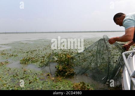 Les pêcheurs utilisent divers engins de pêche, dont des filets, pour pêcher, car la saison de pêche fermée se termine le 30 juin, dans le village de Zhangfuhe, dans la ville de Xishunhe, dans le district de Hongze Banque D'Images