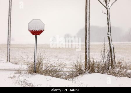 Mohawk Valley, État de New York : un panneau d'arrêt, des contreforts et des poteaux sont pillés de neige et de glace pendant une tempête. Banque D'Images