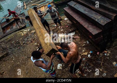Les travailleurs afro-colombiens portent un bois scié brut, extrait de la forêt tropicale du Pacifique, pendant le transport du bois dans le port de Turbo, en Colombie. Banque D'Images