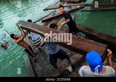 Les travailleurs afro-colombiens portent un bois scié brut, extrait de la forêt tropicale du Pacifique, pendant le transport du bois dans le port de Turbo, en Colombie. Banque D'Images