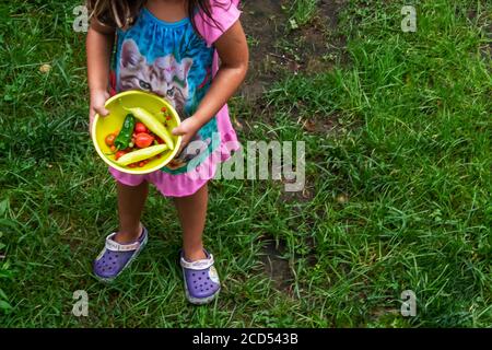 Petite fille tenant un bol avec des produits du jardin Banque D'Images