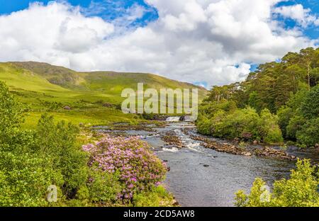 Paysage de montagne avec la rivière Erriff, Ashleigh Falls, comté de Mayo, Irlande Banque D'Images