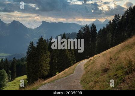 Vue sur la montagne Dent de Broc depuis un sentier de randonnée, en Suisse Banque D'Images