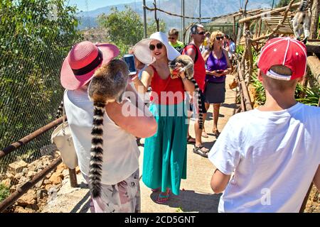 Visiteurs jouant avec des lémuriens dans le parc Amazonas, zoo entre le village de Neapolis et Kourounes, municipalité d'Agios Nikolaos, Lassithi, Crète, Grèce. Banque D'Images