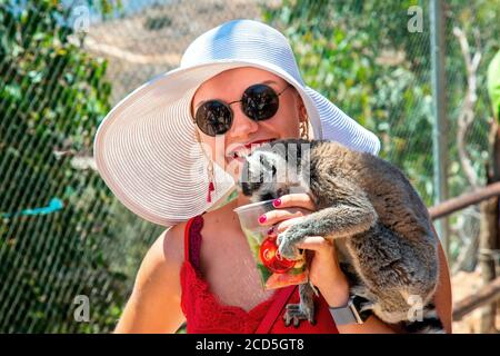 Visiteur jouant avec des lémuriens dans le parc Amazonas, zoo entre le village de Neapolis et Kourounes, municipalité d'Agios Nikolaos, Lassithi, Crète, Grèce. Banque D'Images