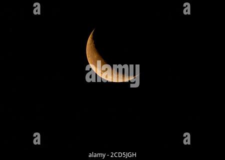 Croissant de lune décroissant au début de l'aube. Oregon, Ashland, Cascade Siskiyou Monument national, été Banque D'Images