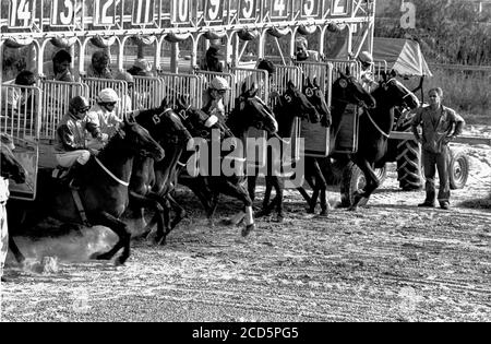 Ouverture des portes de la stalle avant, les chevaux démarrant une course à l'hippodrome de Palerme à Buenos Aires, Argentine. Banque D'Images