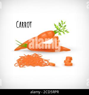 Entières avec des feuilles vertes, tranchées, carottes coupées, de style plat. Éléments pour les motifs de salade. Légumes bio bio bio produit agricole. Lettres Carrot. Illustration de Vecteur