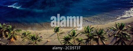 Vue en grand angle des palmiers sur la plage de sable de Waikiki et la mer bleue, Waikiki, Hawaii, Etats-Unis Banque D'Images