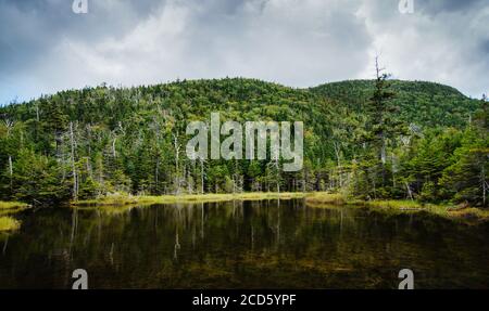 Paysage des montagnes Adirondack, New York, États-Unis Banque D'Images