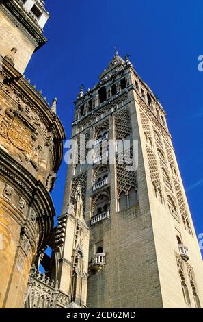 Vue à angle bas de la tour de la cloche (la Giralda) de la cathédrale de Séville, Séville, Andalousie, Espagne Banque D'Images