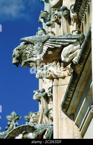 Gargoyle au Monastère Saint Jean des Rois, Tolède, Castilla la Mancha, Espagne Banque D'Images