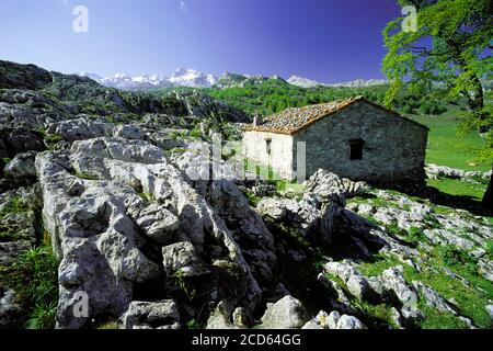 Gîte en pierre et paysage rocheux, parc national de Picos de Europa, Espagne Banque D'Images