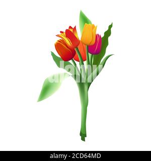 Bouquet de cinq tulipes vectorielles réalistes isolées sur fond blanc. Boutons de fleurs rouges, jaunes et violets. Feuilles longues vertes. Banque D'Images