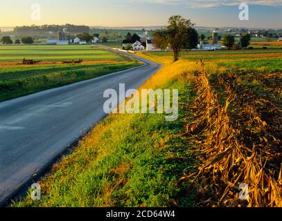 Country Road et Amish Farms, comté de Lancaster, Pennsylvanie, États-Unis Banque D'Images