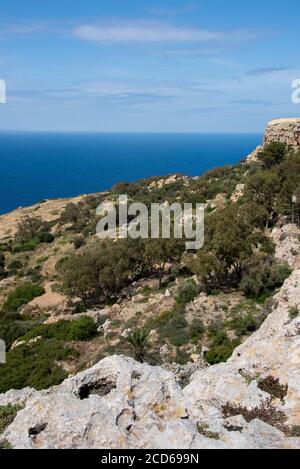 Europe, Malte, la Valette. Dingli Cliffs, le point culminant de Malte, situé sur la côte occidentale. Banque D'Images