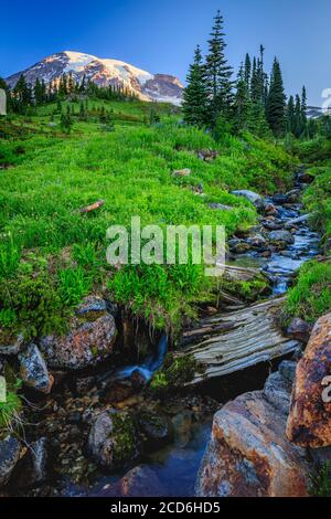 Wildflower meadow and creek at Paradise, Mount Rainier, Washington, USA Banque D'Images