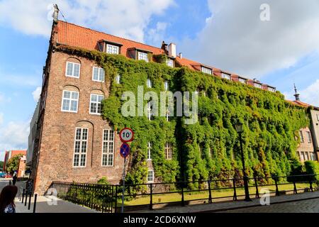 GDANSK, POLEN - 2017 AOÛT 26. Maisons historiques traditionnelles couvertes de lierre sur un canal dans la vieille ville de Gdansk. Banque D'Images