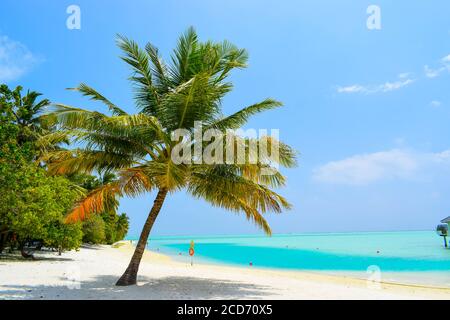 Plage ensoleillée avec sable blanc, palmiers à noix de coco et mer turquoise. Vacances d'été et concept de plage tropicale. Sur l'eau à la station de Maldive Island. Banque D'Images