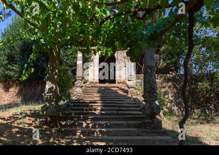 Vue sur une grappe de raisins toujours verts, vignobles au sommet du chemin, vieux piliers et escaliers en pierre, typiquement méditerranéen... Banque D'Images